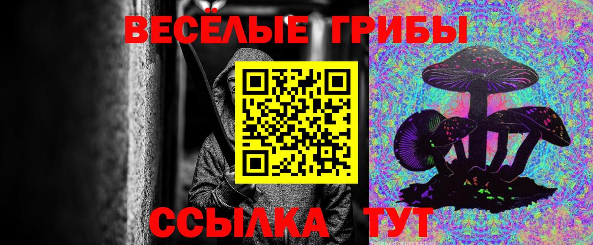 Псилоцибиновые грибы ЛСД Кузнецк